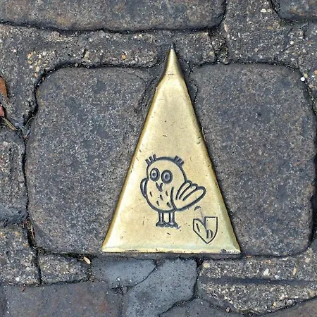 Ambre - En Plein Coeur De La Dijon