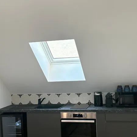 아파트 Ambre - En Plein Coeur De La 디종