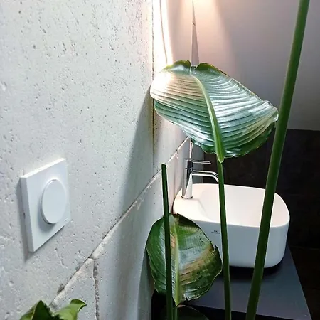 Ambre - En Plein Coeur De La Dijon