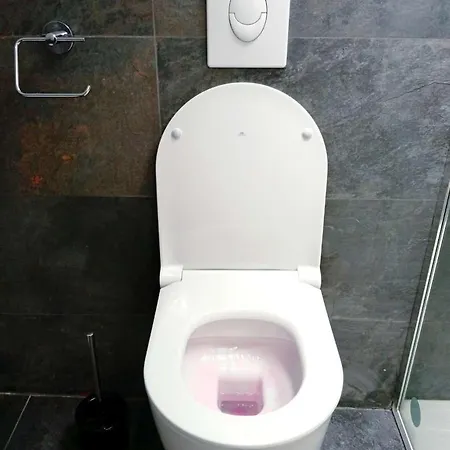 Ambre - En Plein Coeur De La Dijon