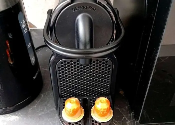 アパート Ambre - En Plein Coeur De La ディジョン