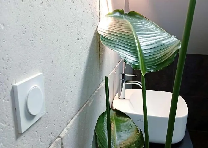 Ambre - En Plein Coeur De La Dijon